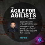 Agile For Agilists