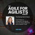 Agile For Agilists