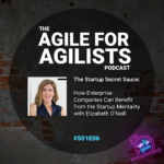 The album cover for Season Two Episode Six of the Agile For Agilist Podast featuring a picture of special guest Elizabeth O'Neill who is an organizational and executive performance coach.